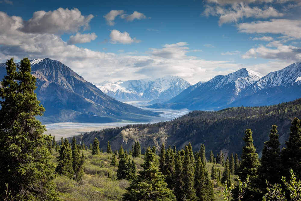 Almaty & Shymbulak Mountain Escape