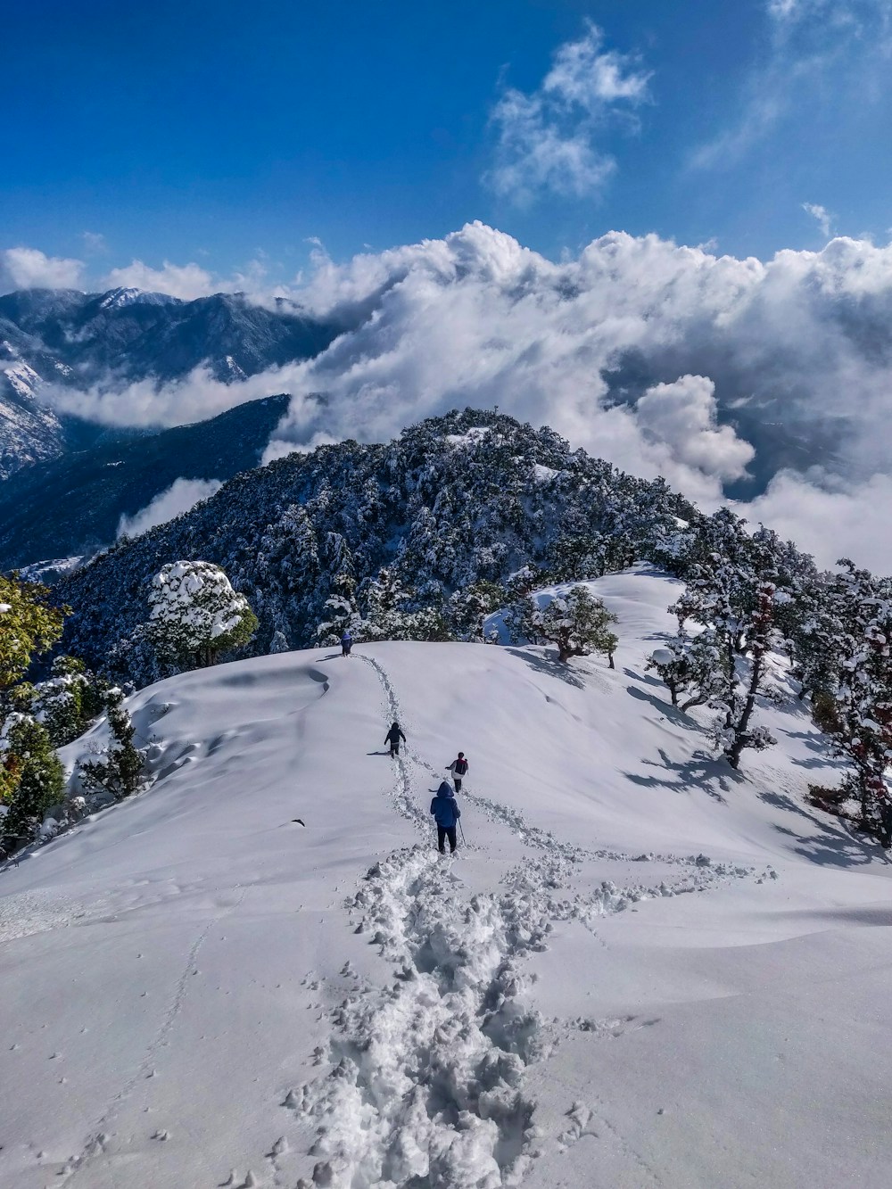 Monsoon Escape: The Oberoi Cecil & Wildflower Hall Shimla