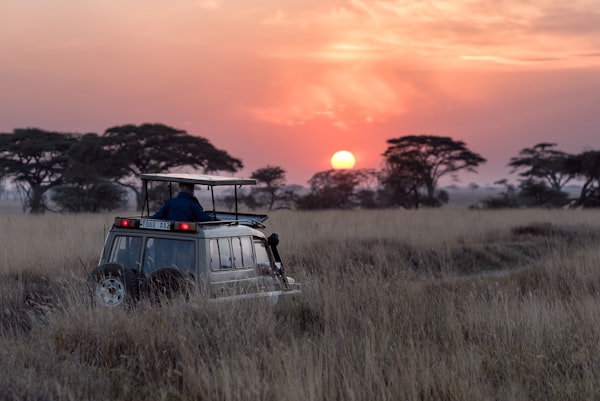 Serengeti Safari, Tanzania